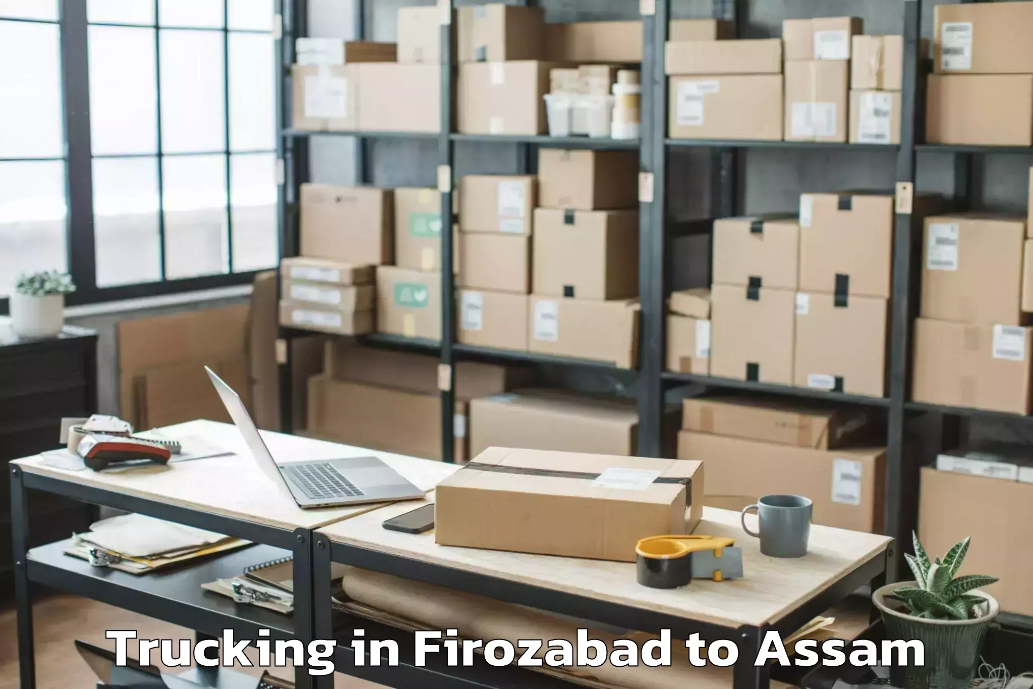 Efficient Firozabad to Dimow Trucking